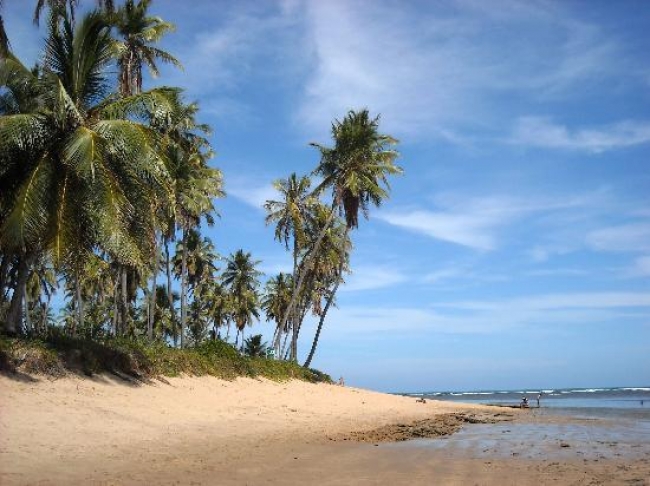 Praia do Forte